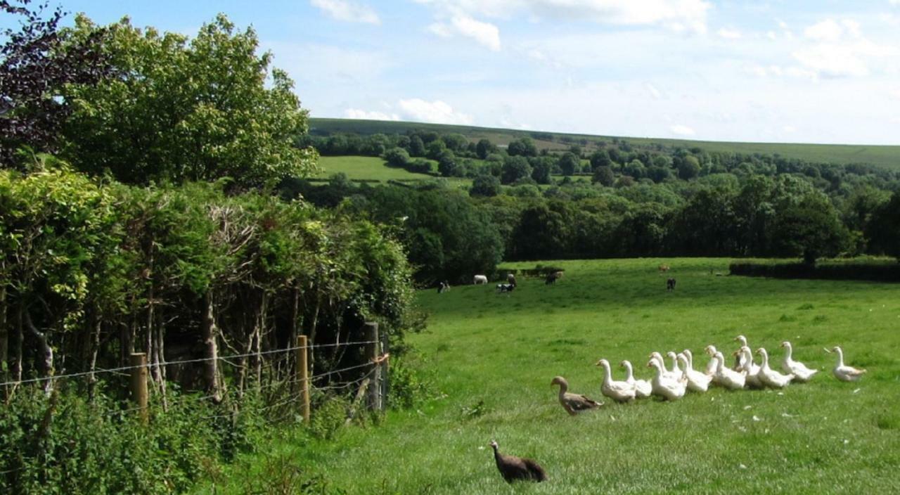 Heathergate Cottage Dartmoor Bnb Lydford Экстерьер фото